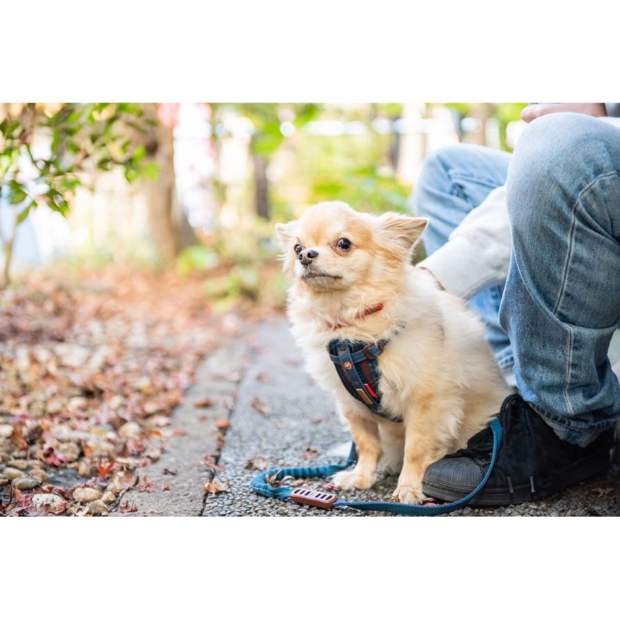 倍々+5倍！最大ポイント26倍！本日限定！イージードッグ プレミアム デニム コレクション ロードランナー ライト リード たすき掛け ショルダーリード | ブランド登録なし | 03