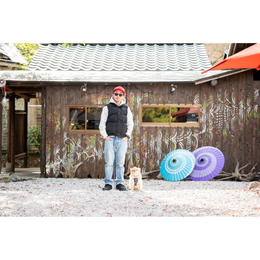 倍々+5倍！最大ポイント26倍！本日限定！イージードッグ プレミアム デニム コレクション ロードランナー ライト リード たすき掛け ショルダーリード | ブランド登録なし | 04