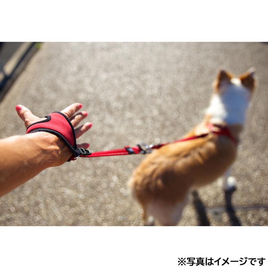 倍々+5倍！最大ポイント26倍！本日限定！イージードッグ EZYDOG ハンディリード ブラック ショートリード 持ち手部分 | ブランド登録なし | 05