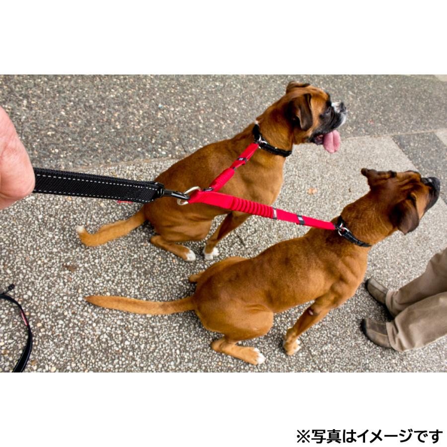 倍々+5倍！最大ポイント26倍！本日限定！イージードッグ EZYDOG ゼロショックエクステンション ダブル レッド 伸縮 ショック吸収 延長リード 2頭引き | ブランド登録なし | 01
