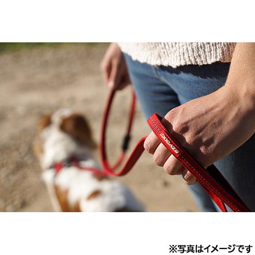 倍々+5倍！最大ポイント26倍！本日限定！イージードッグ EZYDOG ゼロショックライト 120cm ブラック 伸縮 ショック吸収 | ブランド登録なし | 03