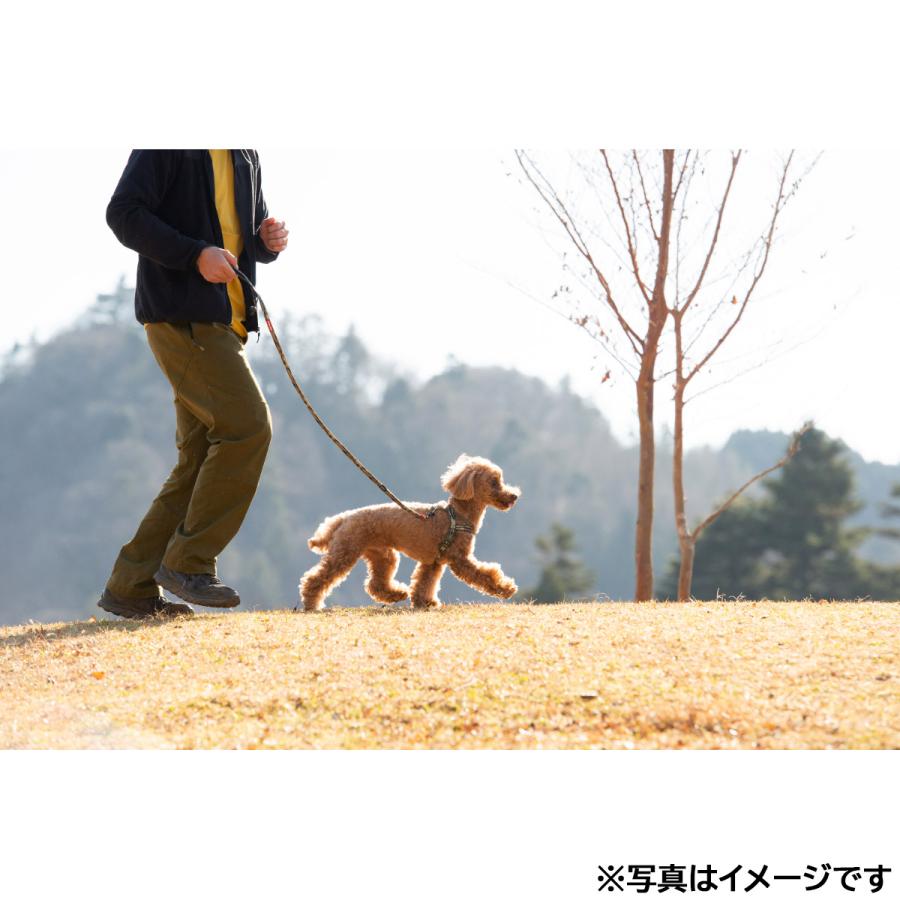 倍々+5倍！最大ポイント30倍！11月5日！イージードッグ EZYDOG ソフトトレーナーライト 120cm レッド トレーニングリード しつけ パピートレーニング | ブランド登録なし | 02