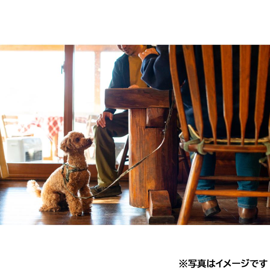 倍々+5倍！最大ポイント30倍！11月5日！イージードッグ EZYDOG ソフトトレーナーライト 120cm レッド トレーニングリード しつけ パピートレーニング | ブランド登録なし | 03