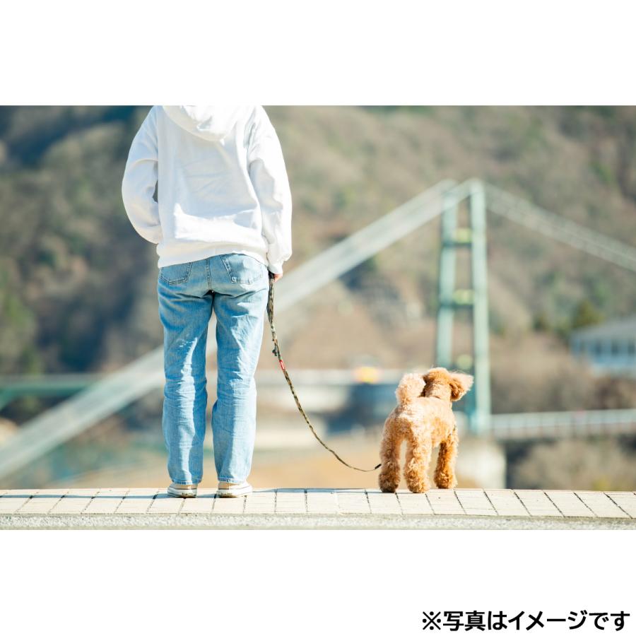 倍々+5倍！最大ポイント30倍！11月5日！イージードッグ EZYDOG ソフトトレーナーライト 120cm レッド トレーニングリード しつけ パピートレーニング | ブランド登録なし | 04