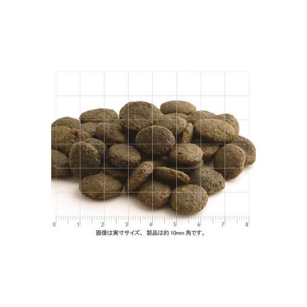 フィッシュ4ドッグ ドッグフード ファイネスト サーモン 大粒 3kg 無添加 ドッグフード 成犬用 グレインフリー | フィッシュ4 | 01
