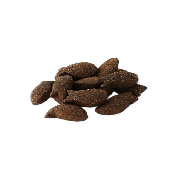 フィッシュ4ドッグ サポートトリーツ 皮膚 被毛ケア 225g 無添加 犬用おやつ トリーツ | フィッシュ4 | 01