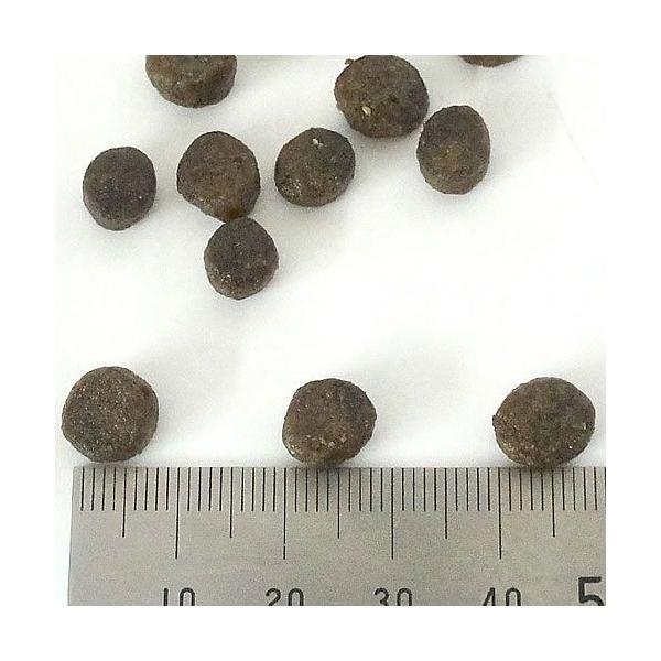 フィッシュ4ドッグ スーペリア ウェイトコントロール 400g 無添加 ドッグフード 成犬用 グレインフリー | フィッシュ4 | 02