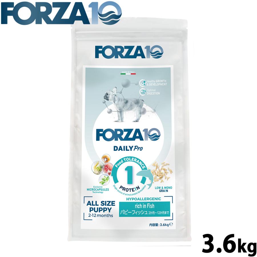 倍々+5倍！最大ポイント30倍！本日限定！フォルツァ10 Forza10