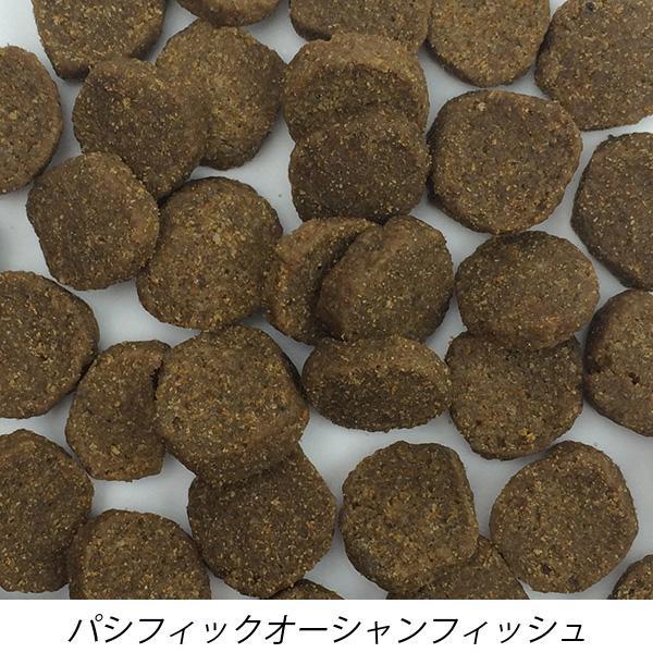 ファーストメイト ドッグフード パシフィックオーシャンフィッシュ 11.4kg【送料無料】 | ファーストメイト | 01