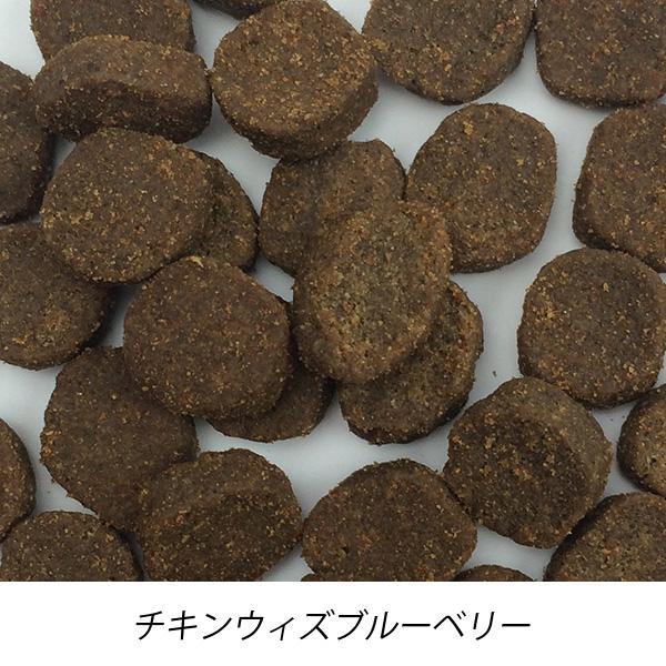ファーストメイト ドッグフード チキン ウィズ ブルーベリー 11.4kg【送料無料】 | ファーストメイト | 01
