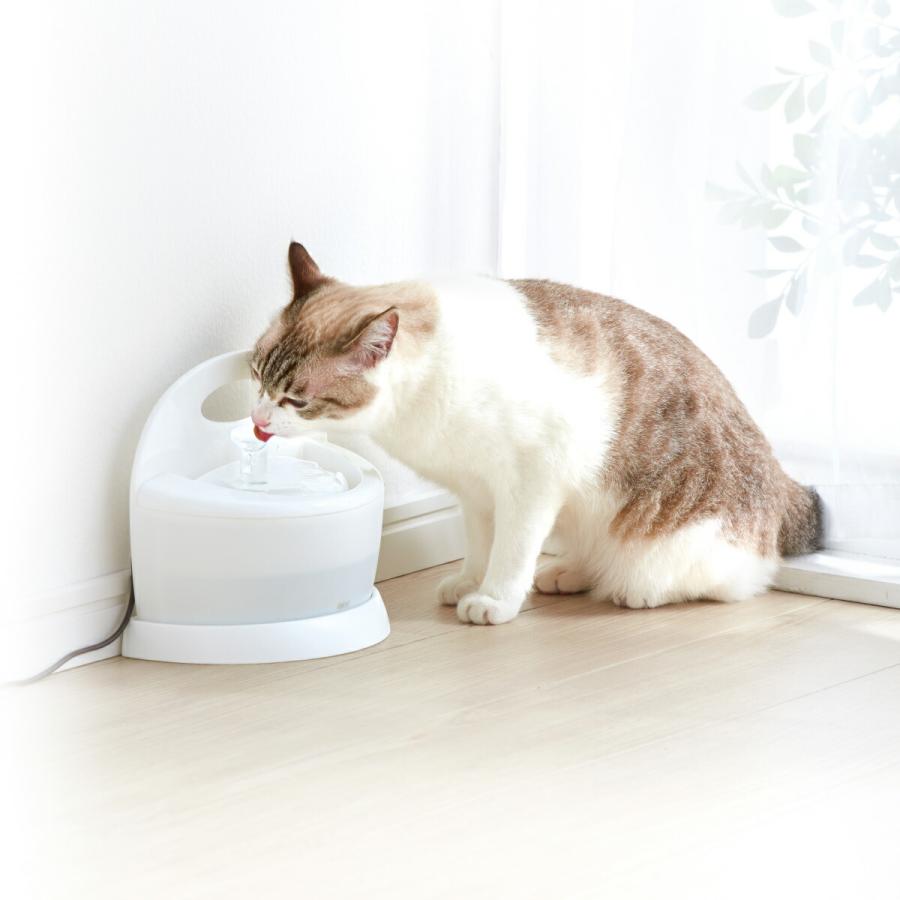 ピュアクリスタル フィット ホワイト 900ml | ピュアクリスタル | 09