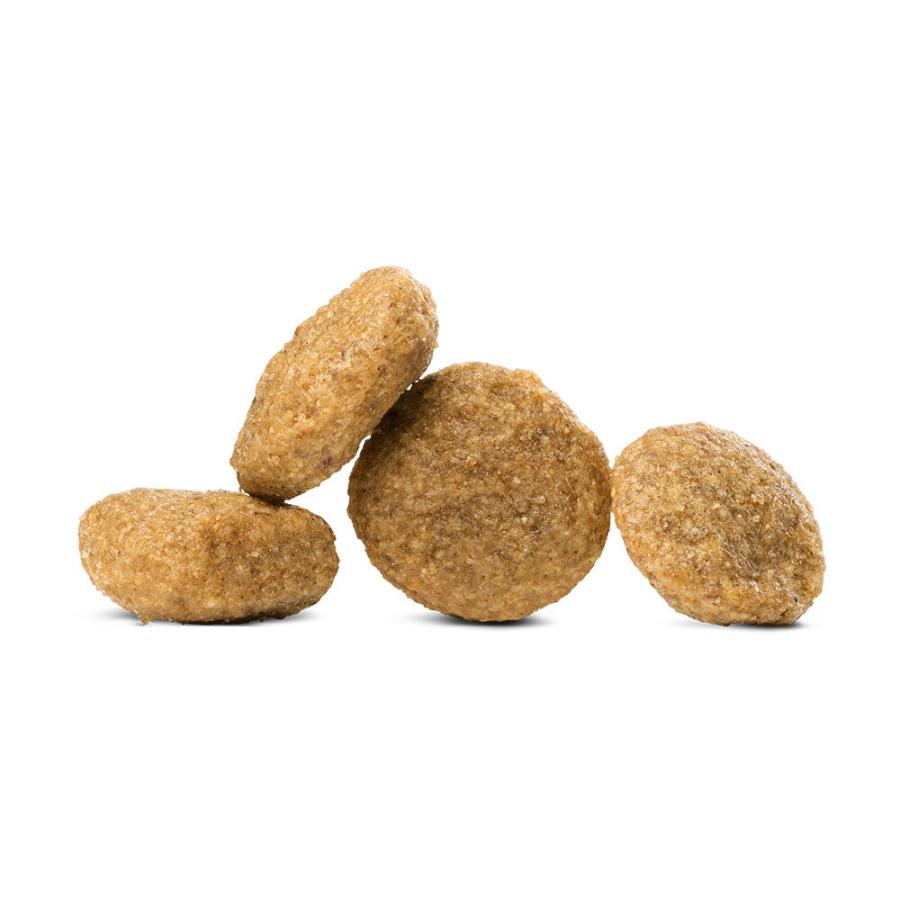 ハッピードッグ HAPPY DOG ドッグフード 犬療法食 リーナル（腎臓ケア