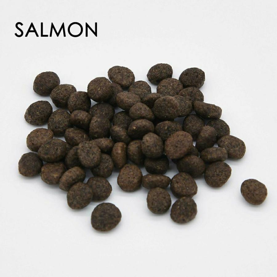 グレンコ ドッグフード ナチュール グレインフリー 成犬用 サーモン 小粒 3.2kg 穀物不使用 グルテンフリー |  | 02