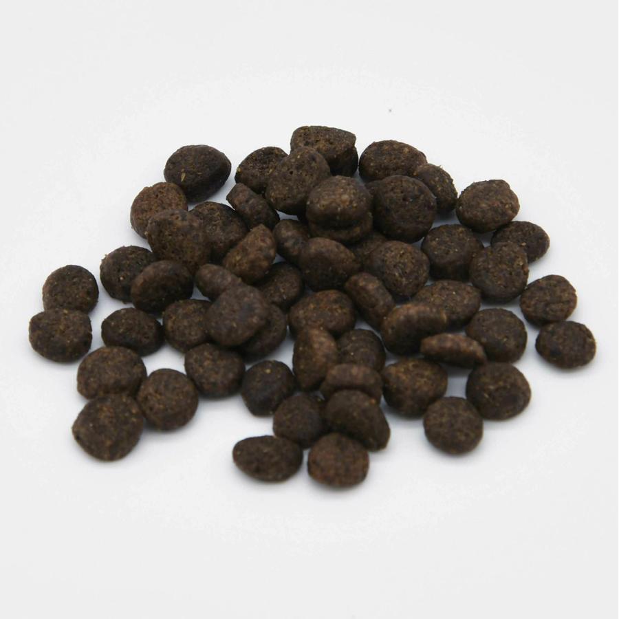 グレンコ ドッグフード ナチュール グレインフリー 全年齢用 ターキー 小粒 100g 穀物不使用 グルテンフリー |  | 02