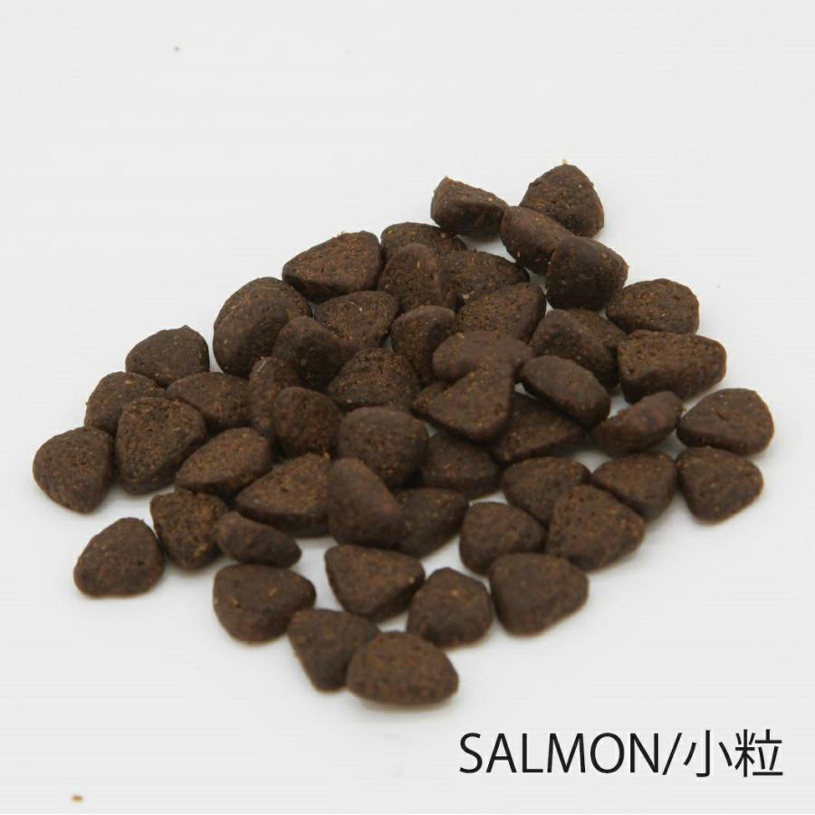 グレンコ ドッグフード スペシャルレシピ グレインフリー 成犬用 スコティッシュサーモン 小粒 1.8kg |  | 01