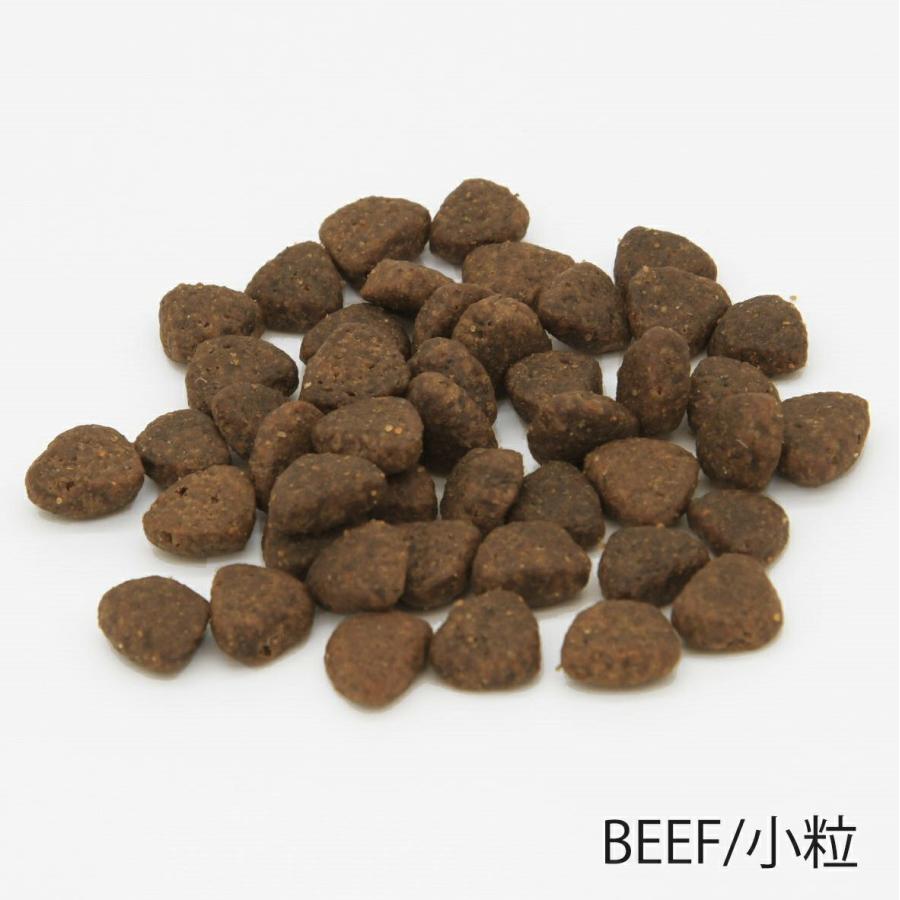 グレンコ ドッグフード スペシャルレシピ グレインフリー 成犬用 アンガスビーフ 小粒 100g 穀物不使用 |  | 01