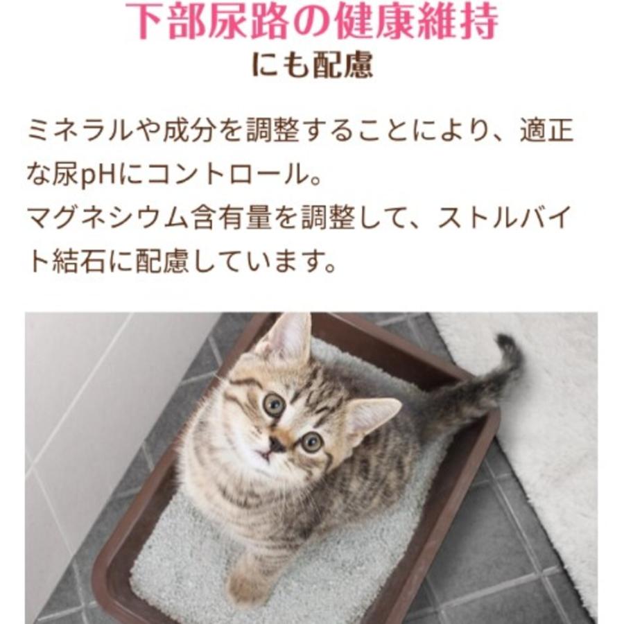 倍々+5倍！最大ポイント30倍！5月5日！メディファス アドバンス キャットフード 関節 筋肉の健康維持 7歳頃から チキン＆フィッシュ味 1.15kg×6個セット 猫_2