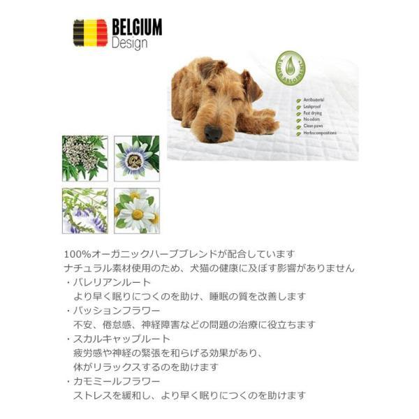 M-PETS エムペッツ CALM DOWN ペットシーツ ワイド 15枚入り 犬 ペットシート トイレシート おしっこ 薄型 消臭 | ブランド登録なし | 04
