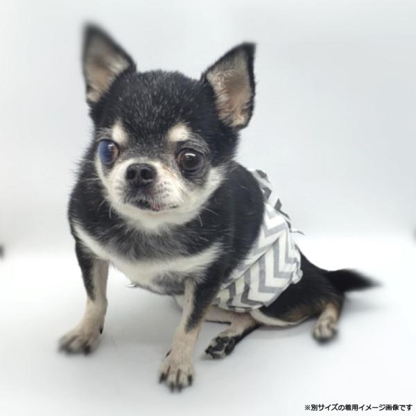 M-PETS（エムペッツ） 男の子用オムツ M 12枚 | ブランド登録なし | 06