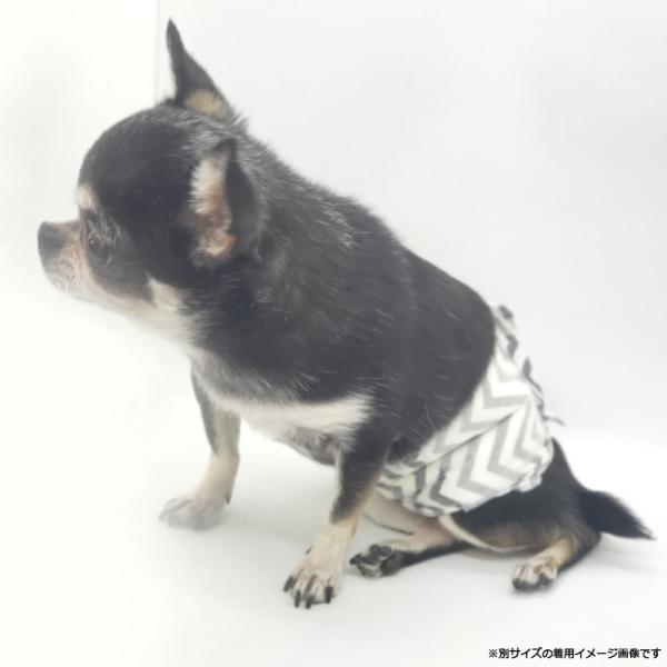 M-PETS（エムペッツ） 男の子用オムツ M 12枚 | ブランド登録なし | 07