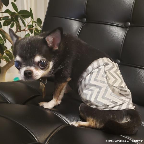 M-PETS（エムペッツ） 男の子用オムツ M 12枚 | ブランド登録なし | 08