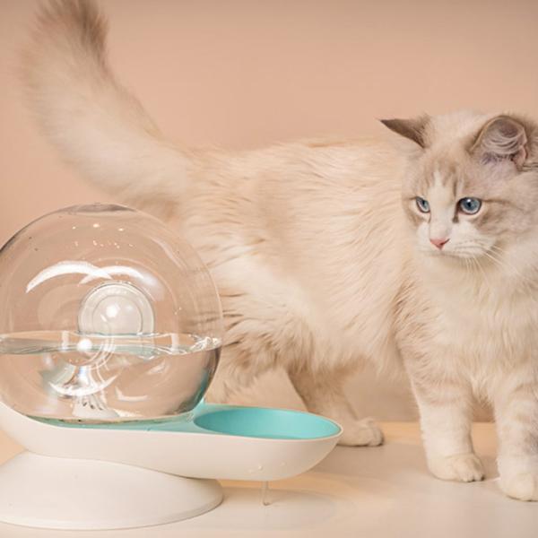 M-PETS エムペッツ カタツムリペット給水器 2.8L |  | 01