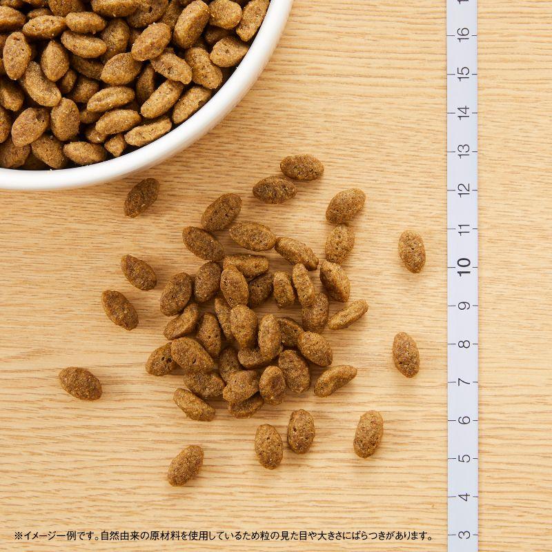 倍々+5倍！最大ポイント26倍！本日限定！ニュートロ ナチュラルチョイス キャットフード 穀物フリー アダルト チキン 2kg×8袋セット 無添加の画像