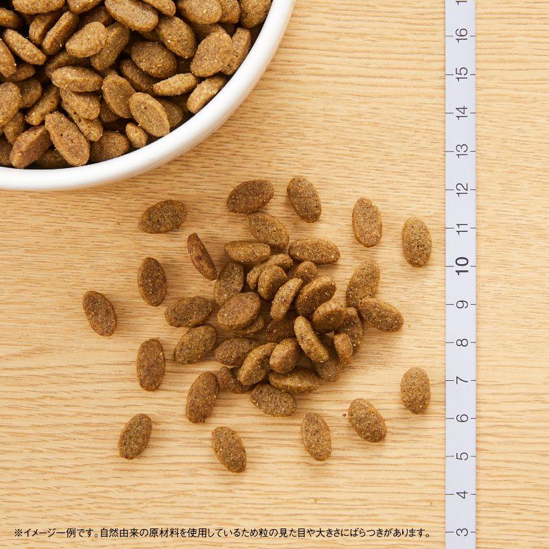 倍々+5倍！最大ポイント26倍！本日限定！ニュートロ ナチュラルチョイス キャットフード 室内猫用 アダルト ターキー 2kg×8袋セットの画像