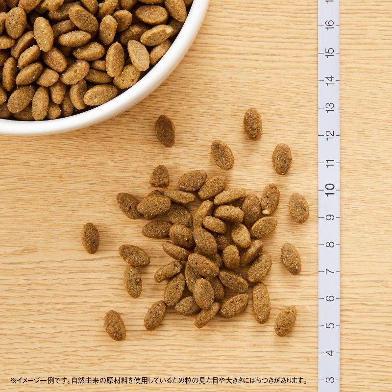 倍々+5倍！最大ポイント26倍！本日限定！ニュートロ ナチュラルチョイス 室内猫用 アダルト サーモン 2kg×8袋セットの画像