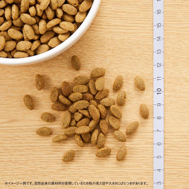 倍々+5倍！最大ポイント26倍！本日限定！ニュートロ ナチュラルチョイス キャットフード 減量用 アダルト チキン 2kg×8袋セットの画像