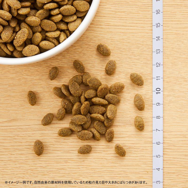 倍々+5倍！最大ポイント26倍！本日限定！ニュートロ ナチュラルチョイス キャットフード 穀物フリー アダルト サーモン 2kg×8袋セットの画像