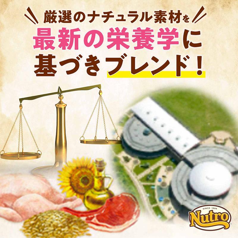 倍々+5倍！最大ポイント26倍！本日限定！ニュートロ ナチュラルチョイス ドッグフード 小型犬 エイジングケア チキン＆玄米 3kg 無添加 | ニュートロ | 04