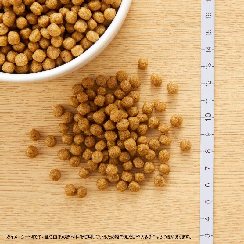 ニュートロ ナチュラルチョイス 鹿肉＆玄米 超小型犬〜小型犬用 成犬用 2kg | ニュートロ | 01