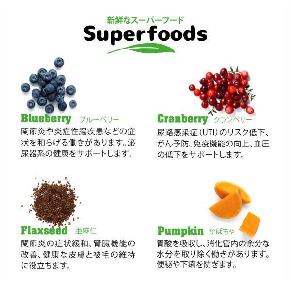 ネイチャーズハグ Nature’s HUG ドッグフード アダルト ミディアム＆ラージブリード 9.07kg Nature’s ネイチャーズハグ HUG ドッグフード アダルト ミディアム＆ラージブリード