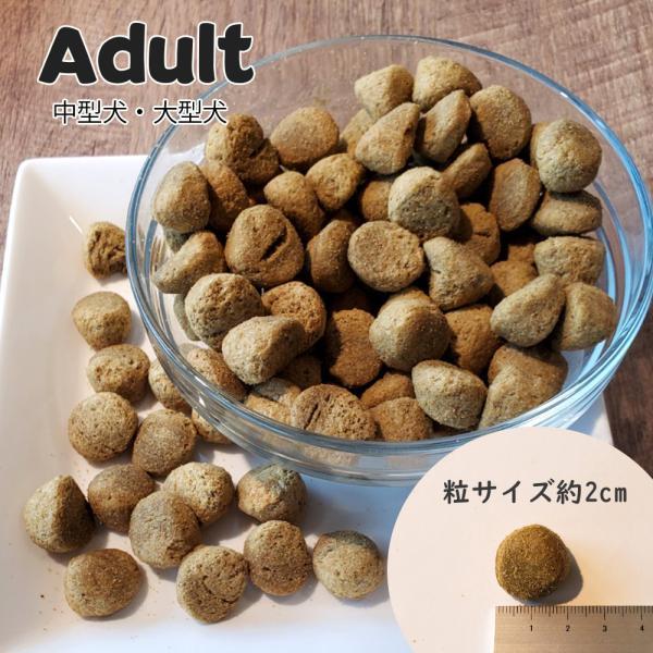 ネイチャーズハグ Nature’s HUG ドッグフード アダルト ミディアム＆ラージブリード 9.07kg Nature’s ネイチャーズハグ HUG ドッグフード アダルト ミディアム＆ラージブリード