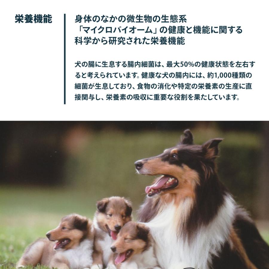 ナチュラルナース ドッグフード 2.4kg（無添加 ドライフード） |  | 02