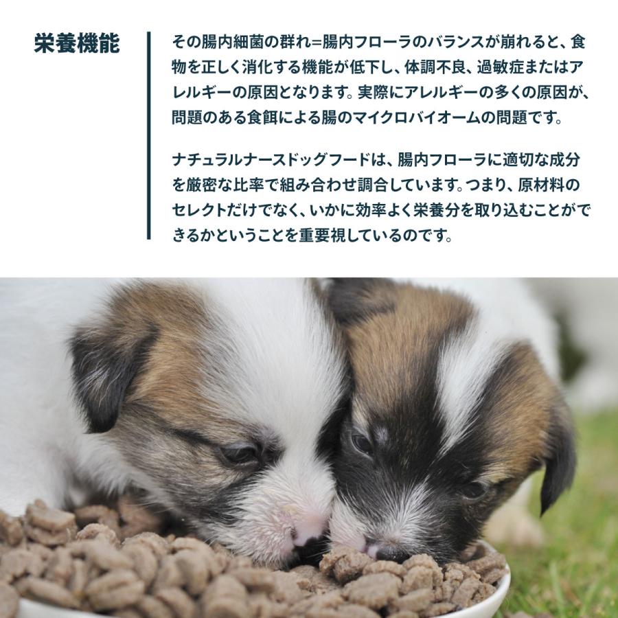 ナチュラルナース ドッグフード 2.4kg（無添加 ドライフード） |  | 03