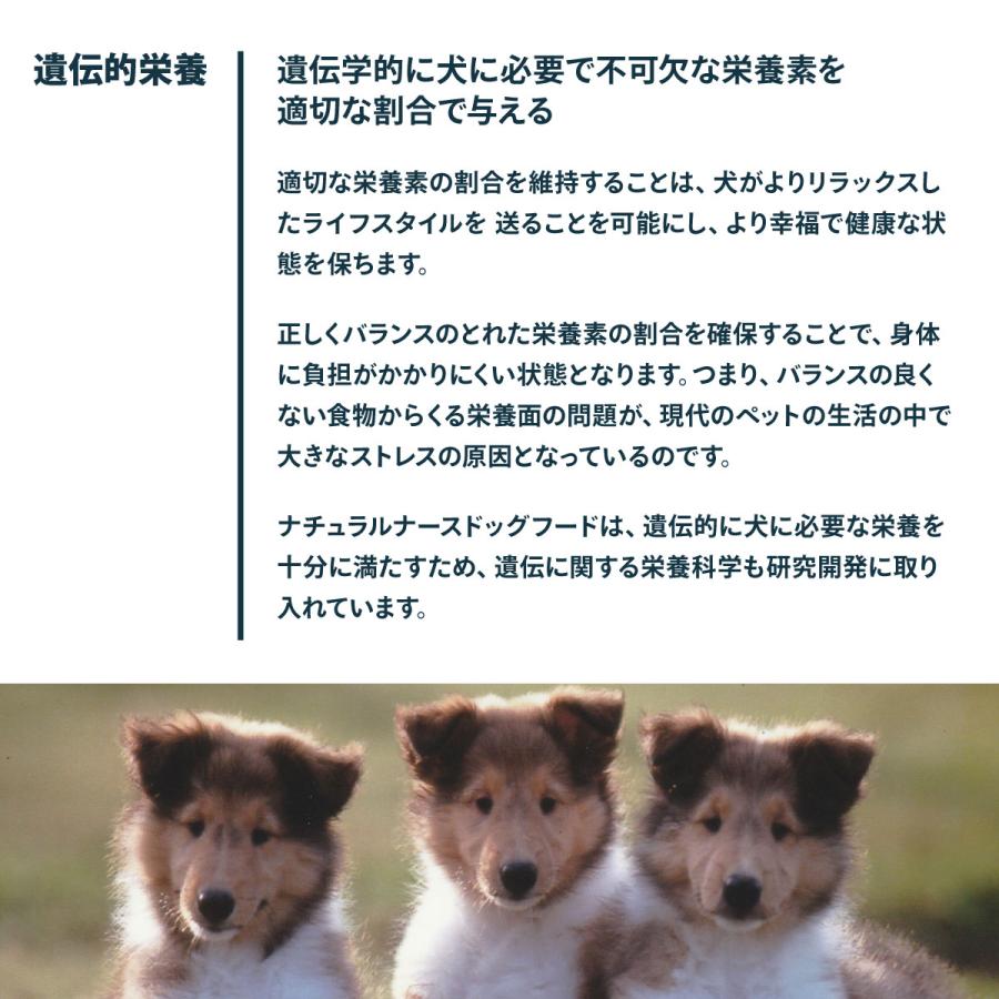 ナチュラルナース ドッグフード 2.4kg（無添加 ドライフード） |  | 04