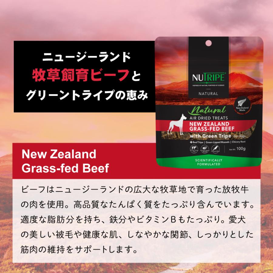 ニュートライプ ナチュラル エアードライ トリーツ ビーフwithグリーントライプ 100g 無添加 犬用おやつ |  | 06