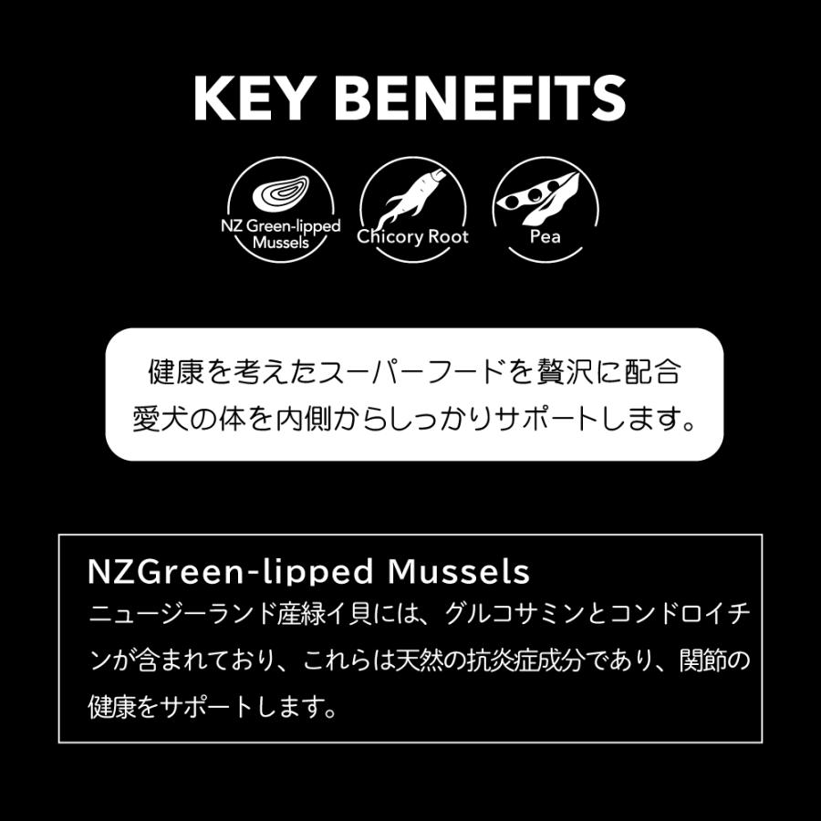 ニュートライプ ナチュラル エアードライ トリーツ ビーフwithグリーントライプ 100g 無添加 犬用おやつ |  | 07