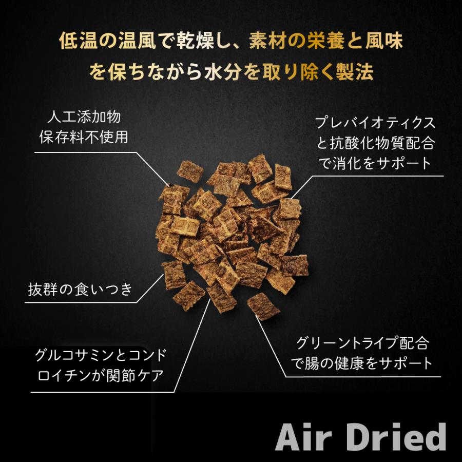 ニュートライプ ナチュラル エアードライ トリーツ ビーフwithグリーントライプ 100g 無添加 犬用おやつ |  | 09