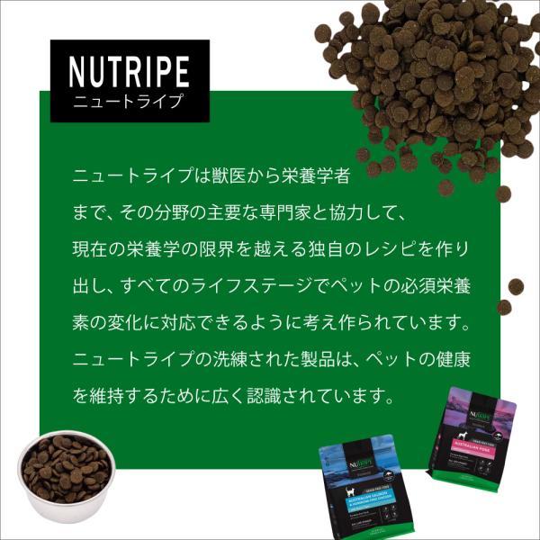 NUTRIPE（ニュートライプ） 倍々+5倍！最大ポイント26倍！本日限定