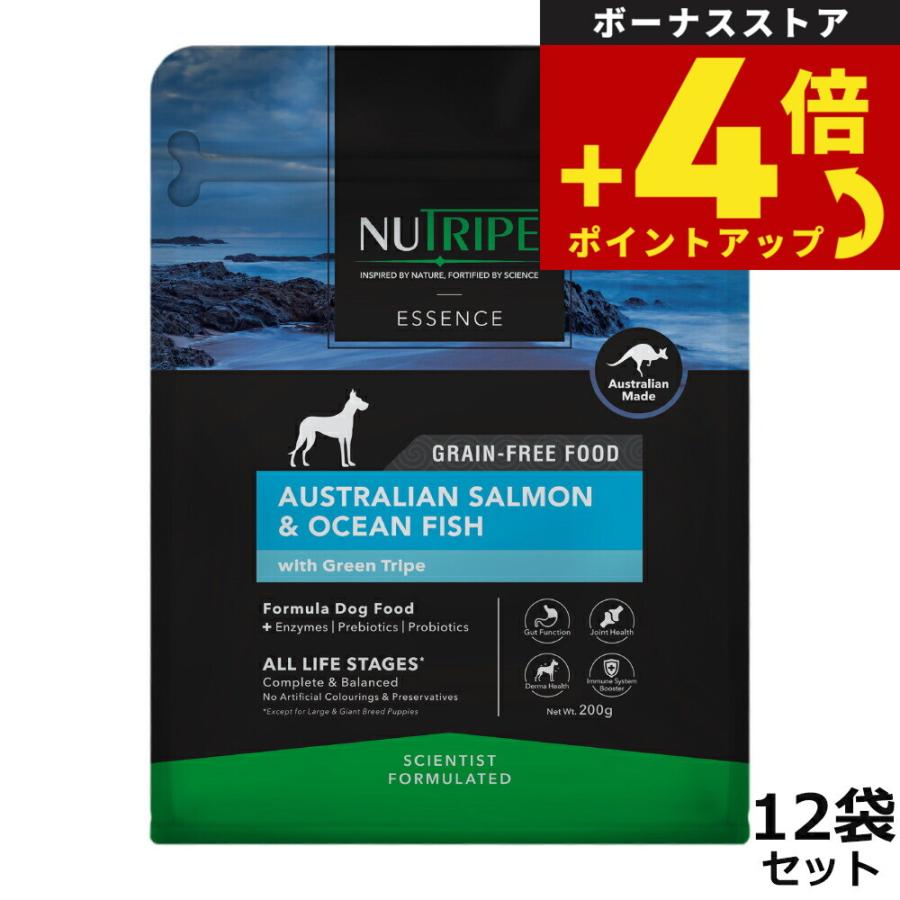 NUTRIPE（ニュートライプ） GFドライ ドッグ サーモン＆フィッシュ