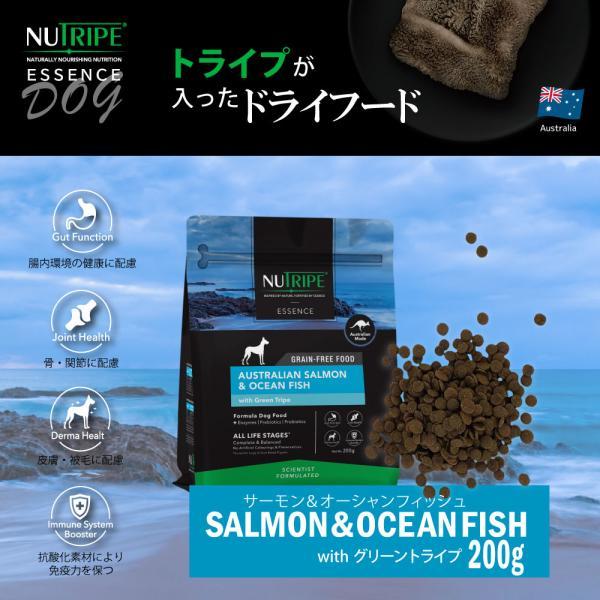 NUTRIPE（ニュートライプ） GFドライ ドッグ サーモン＆フィッシュ