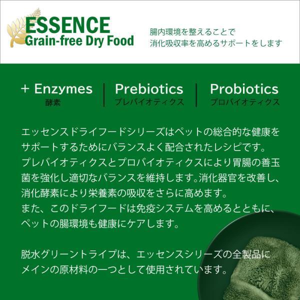 NUTRIPE（ニュートライプ） GFドライ ドッグ サーモン＆フィッシュ