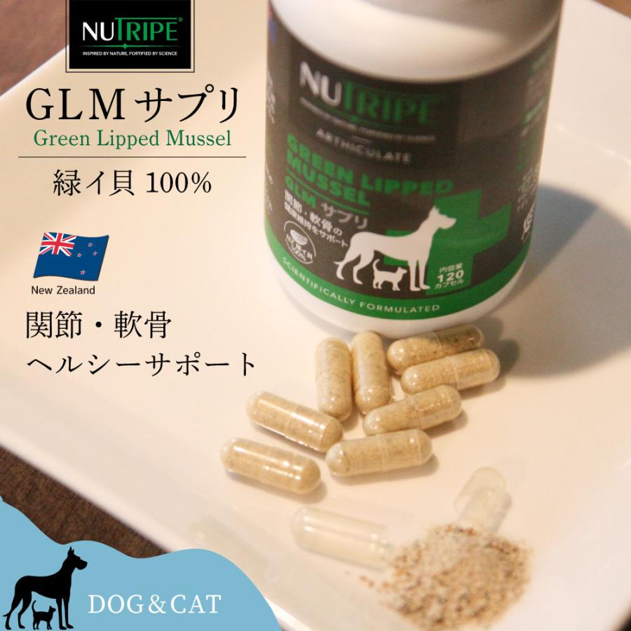 ニュートライプ サプリメント GLMサプリ 120カプセル【送料無料】 グルコサミン コンドロイチン 関節 緑イ貝 |  | 01
