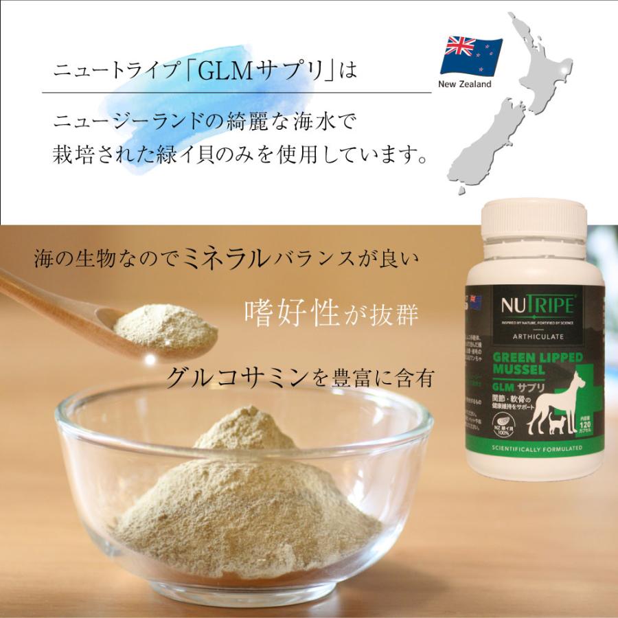ニュートライプ サプリメント GLMサプリ 120カプセル【送料無料】 グルコサミン コンドロイチン 関節 緑イ貝 |  | 04