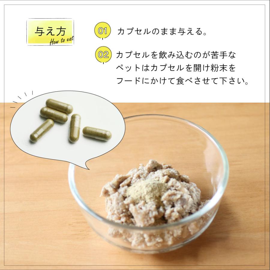 ニュートライプ サプリメント GLMサプリ 120カプセル【送料無料】 グルコサミン コンドロイチン 関節 緑イ貝 |  | 06