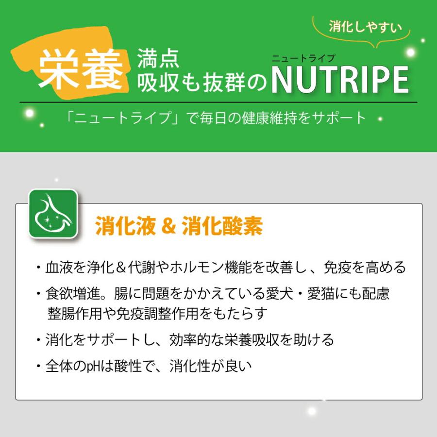 ニュートライプ ドッグフード ウェット ピュア ビーフ＆グリーントライプ 185g 無添加 缶詰 穀物不使用 | NUTRIPE | 11
