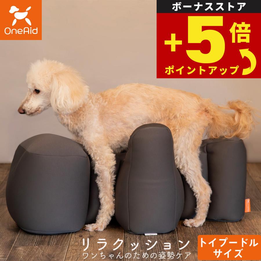 倍々+5倍！最大ポイント30倍！本日限定！ワンエイド OneAid リラ